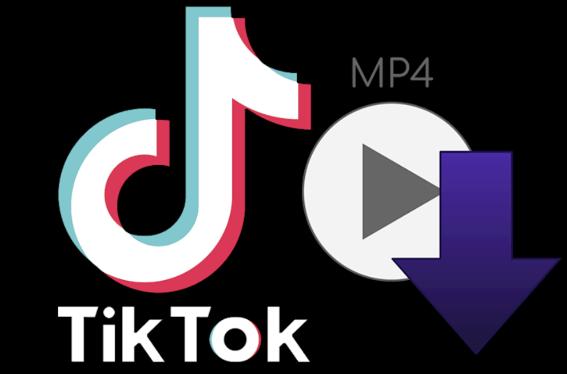 Unlock the World of Creativity: A Comprehensive Guide to TikTok Video Downloaders